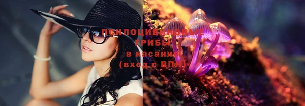 ПСИЛОЦИБИНОВЫЕ ГРИБЫ Белокуриха
