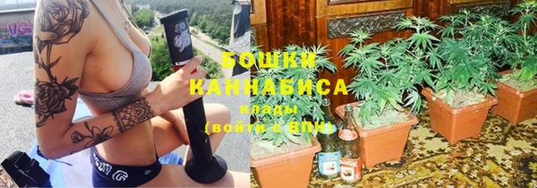 ПСИЛОЦИБИНОВЫЕ ГРИБЫ Белокуриха