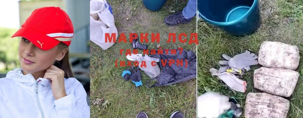 ПСИЛОЦИБИНОВЫЕ ГРИБЫ Белокуриха
