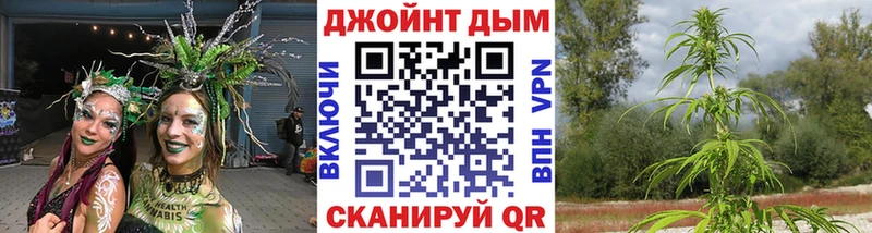 Канабис семена  Купить  Сасово 